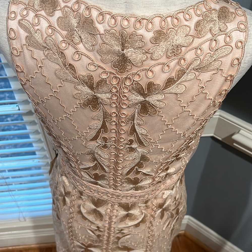 Gorgeous Sue Wong champagne embroidered dress - Picture 5 of 6